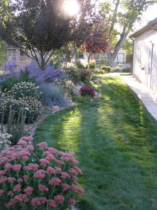 Yard with green grass and flowers.