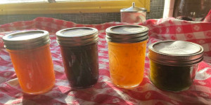 Jars of jam