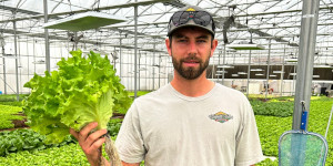 Trent Koehn holding lettuce in a greenhouse.