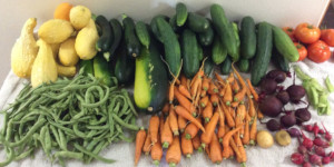 Vegetables on a table