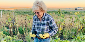 Woman working in a garden