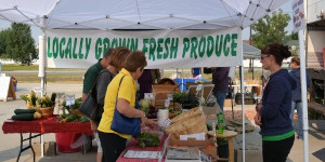 Farmers' Market Stand