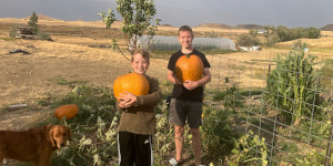 Two boys holding pumpkins