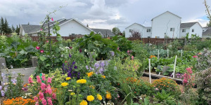 Garden with flowers and produce