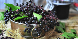 Elderberries in a basket