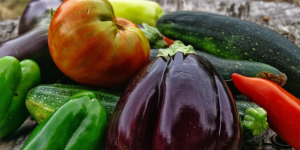 Fresh produce including egg plants, tomatoes, and peppers