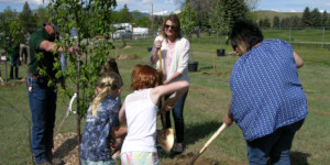People planting trees