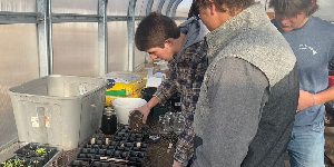 High school students working in a greenhouse