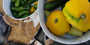 Pickles and squash in bowls