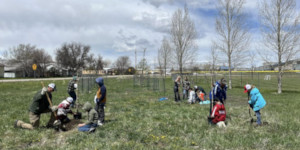 People planting trees