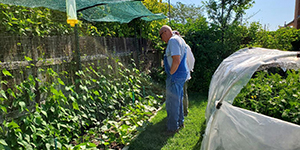 Garden with covered beds