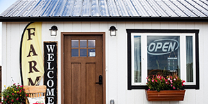 Lucky Buffalo Stand Store