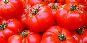 Tomatoes