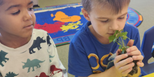 Children seating a table smelling plants.