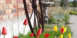 Flowers and wagon wheel