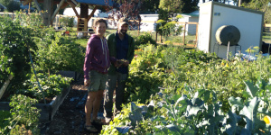 People looking at a garden