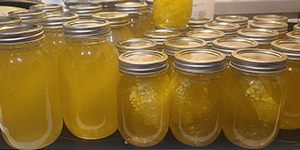 Jars of honey