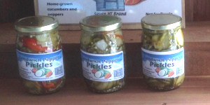 Jars of homemade pickles