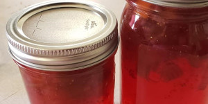 Jars of red jelly