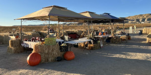 Tents over tables with fresh produce.