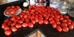 Tomatoes