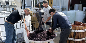 People pressing grapes
