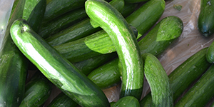 Cucumbers