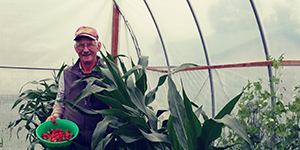 Man with plants in a greenhouse