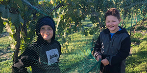 Two boys in a vineyard