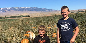People in a pumpkin patch