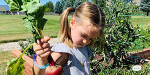 Child holding a beet
