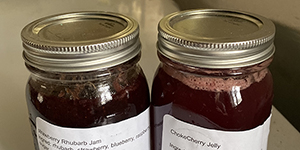 Jars of jam