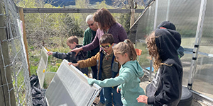 Students looking into a cold frame