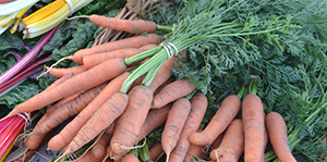 Carrots