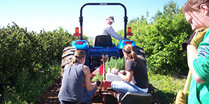 People planting trees from a tractor