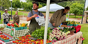 Person working at Farmers Market