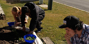 Students working in a garden