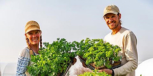 Couple holding fresh produce