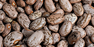 Pinto beans