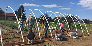 People building a hoop house
