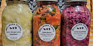 Jars of fermented foods