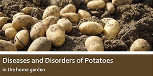Cover of Diseases and Disorders of Potatoes in the Home Garden