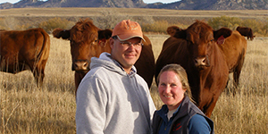 Couple standing in front of cows