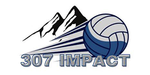 Impact 307 logo