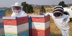 Kids with bee boxes