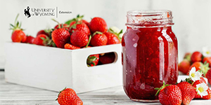 Fresh strawberries and strawberry jam