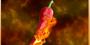 St Clair Homestead logo