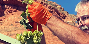 Man holding hops