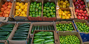 Boxes of produce