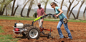 Woman rototilling a garden